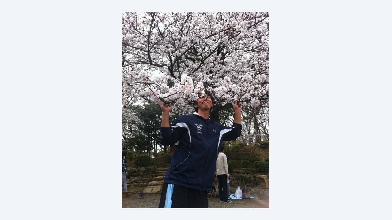 桜満開!